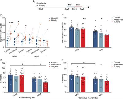 Enriched Environment Prevents Surgery-Induced Persistent Neural Inhibition and Cognitive Dysfunction
